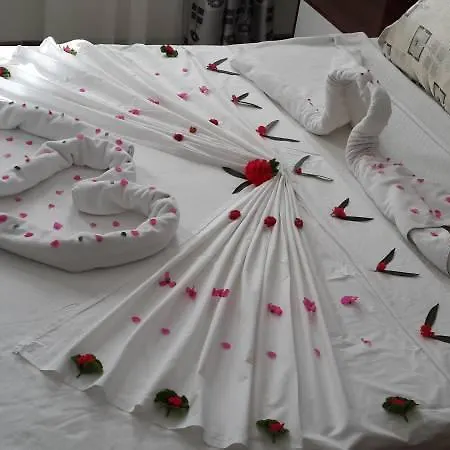 Alta 2* Тургутрейс