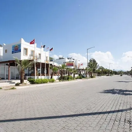 Alta Turgutreis