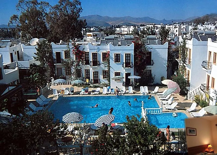 Hotel Alta