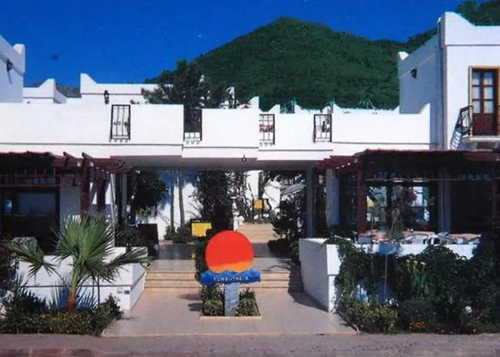 Alta