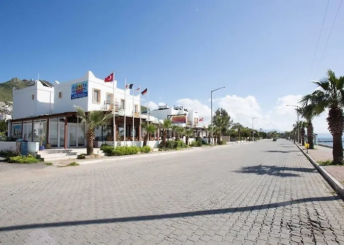 Alta Turgutreis