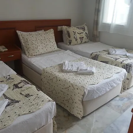 Alta Turgutreis