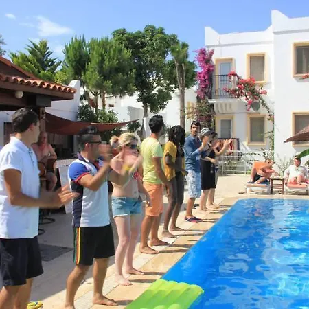 Alta 2* تورغوتْريس