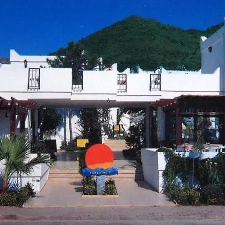 Alta