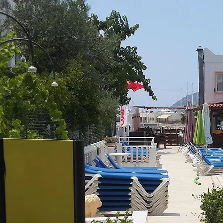 Alta Hotell Turgutreis