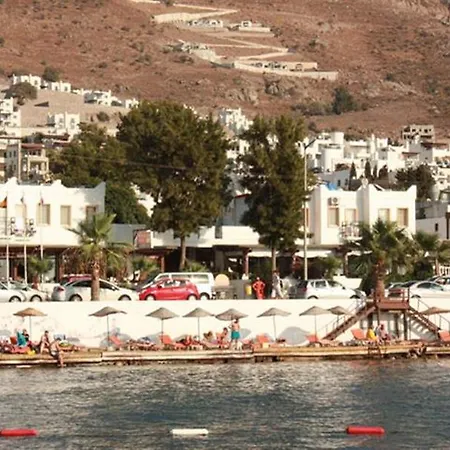 Alta Turgutreis