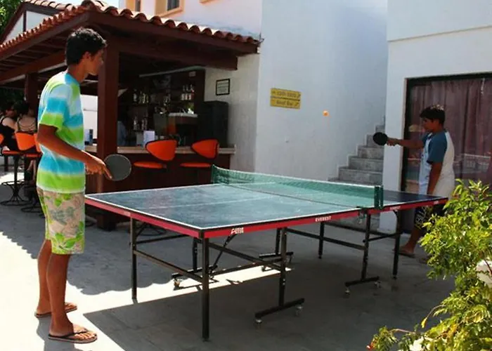 Alta 2*