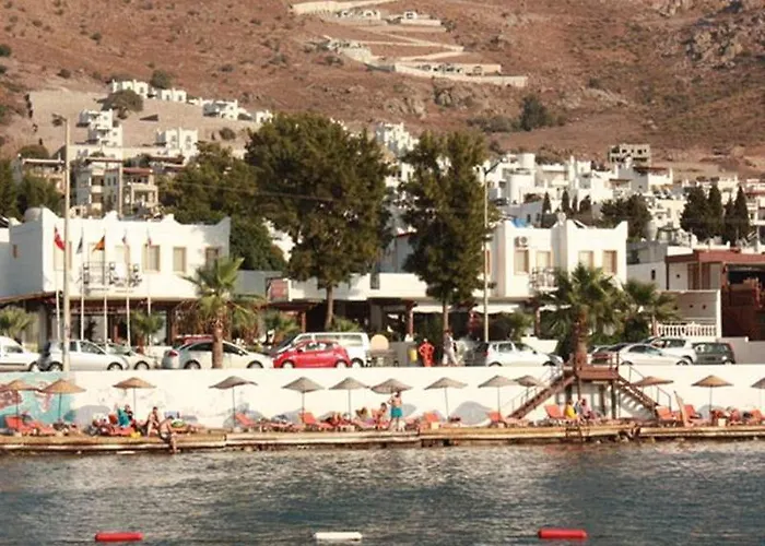 Alta Turgutreis